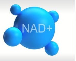 NAD